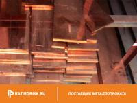 Шина медная 60х5 мм ШМТ ГОСТ 434-78