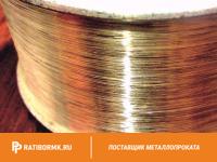 Нихромовая нить 1.7 мм х20н80