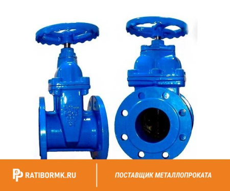 Задвижка чугунная 30Ч39Р с обрезиненным клином (107-2959)